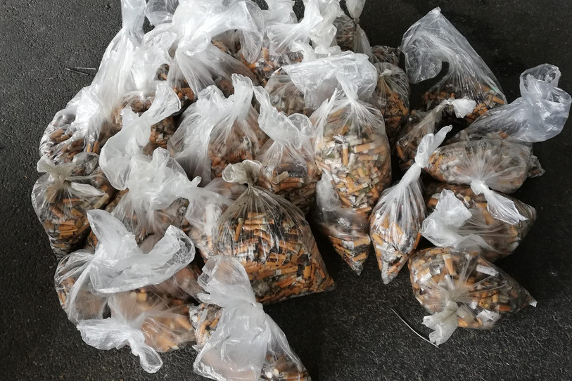 Un beau butin. Près d'un millier de mégots ont été ramassés par les écoliers du collège Léon Michaud à Yverdon-les-Bains. (photo : Vanessa Alonso)
