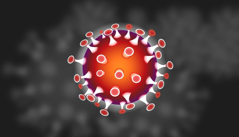 (Image d'illustration ldd)