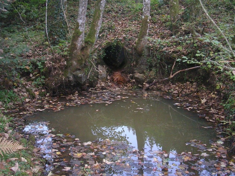 L'état du Tramont après son passage sous l'ancienne décharge de Rosireux (photo : canton du Jura)