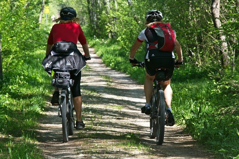 Le canton du Jura a mis en consultation un plan pour réguler la pratique du VTT.