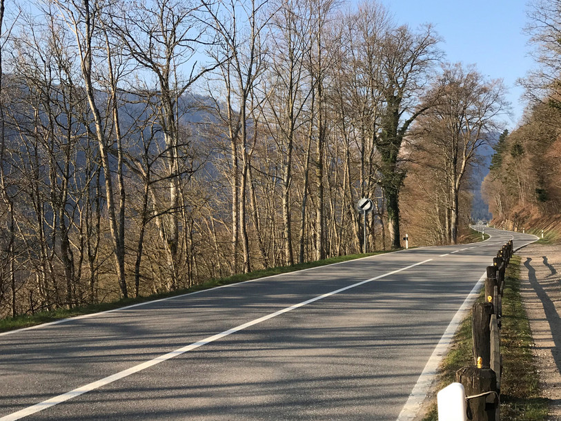 Les travaux de coupe de bois sont nécessaires pour des raisons de sécurité de la ligne à haute tension. (photo : SP)