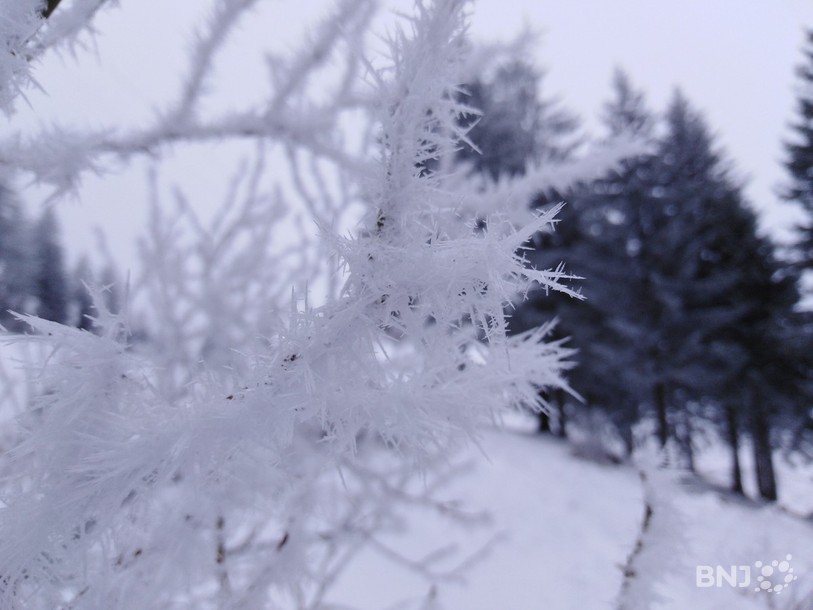 La neige provoque l'annulation de l'Endurance du Jura. (Photo d'illustration).