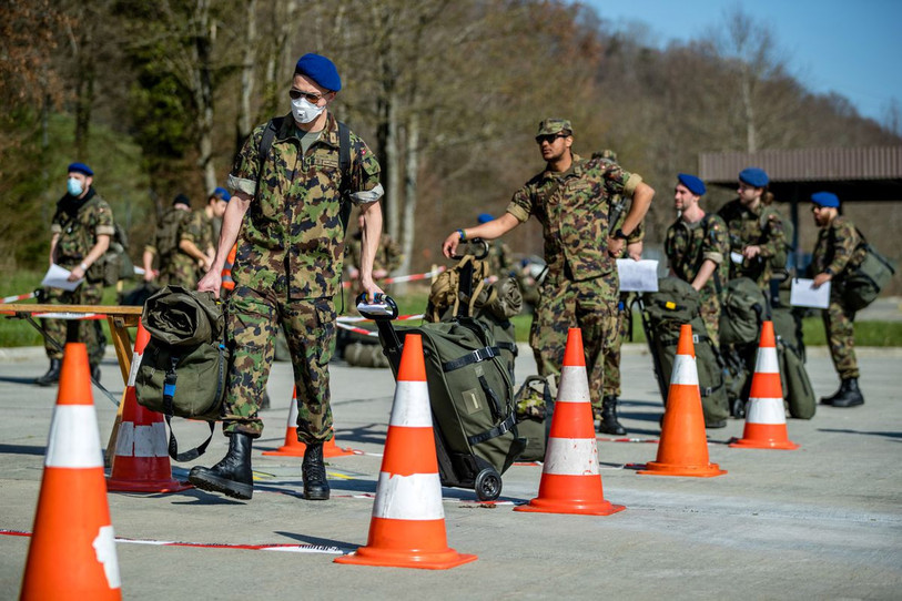 Le gris-vert sera bien présent dans le Jura du 13 au 19 avril (photo : armée suisse).