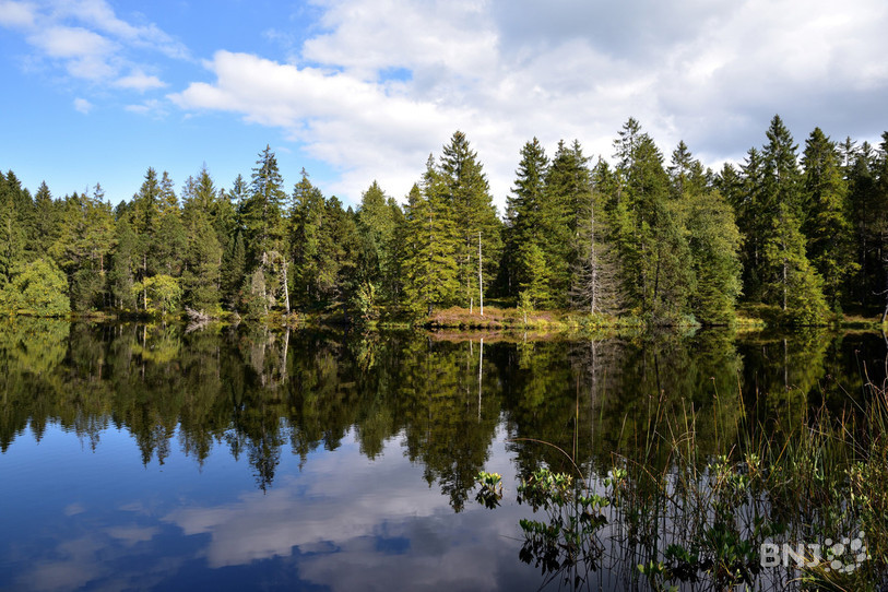 L’Étang de la Gruère se situe au cœur de Franches-Montagnes (photo : Georges Henz).