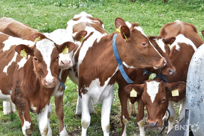  L'agriculture est visée par des coupes budgétaires. (Photo: archives)