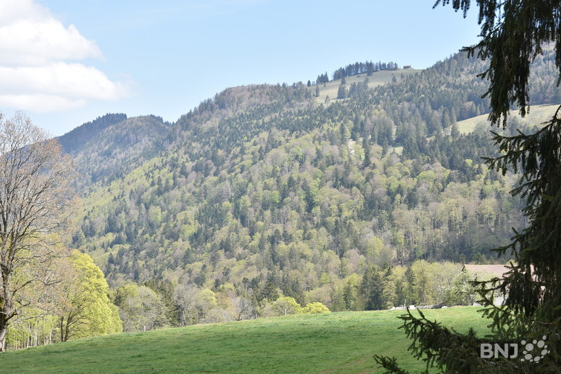 Les régions de montagne ont reçu un soutien important de la fondation. 