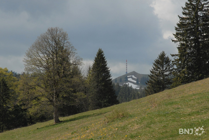 Le Parc régional Chasseral dispose d'un label national qui doit être renouvelé tous les 10 ans.