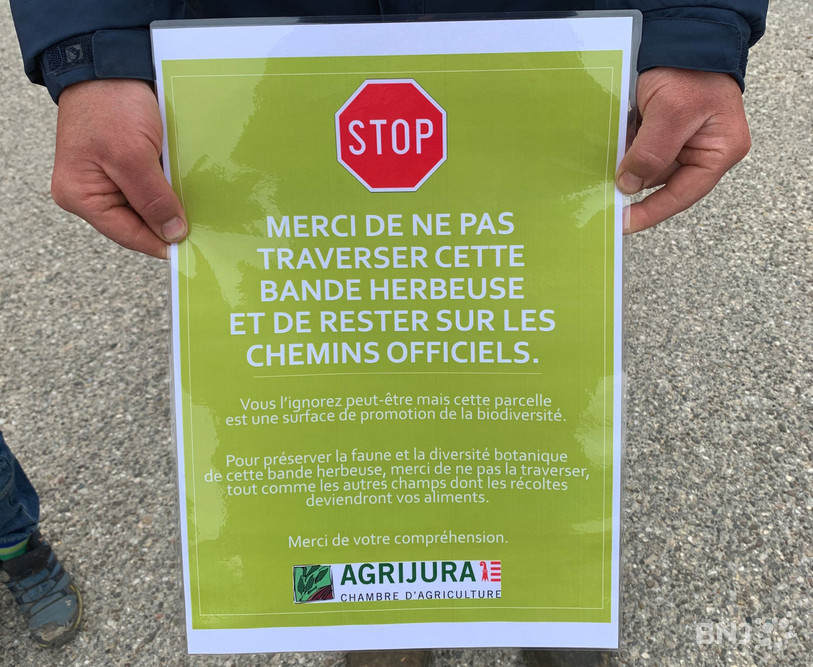 Les précautions à prendre envers les bandes herbeuses sont notamment importantes.