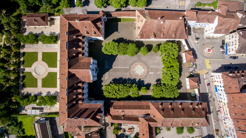 Plusieurs arbres morts ou malades seront abattus dans les jardins du Château (photo : archives / Yannick Barthe).