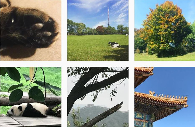Quelle réalité Instagram révèle-t-il sur ses utilisateurs ?