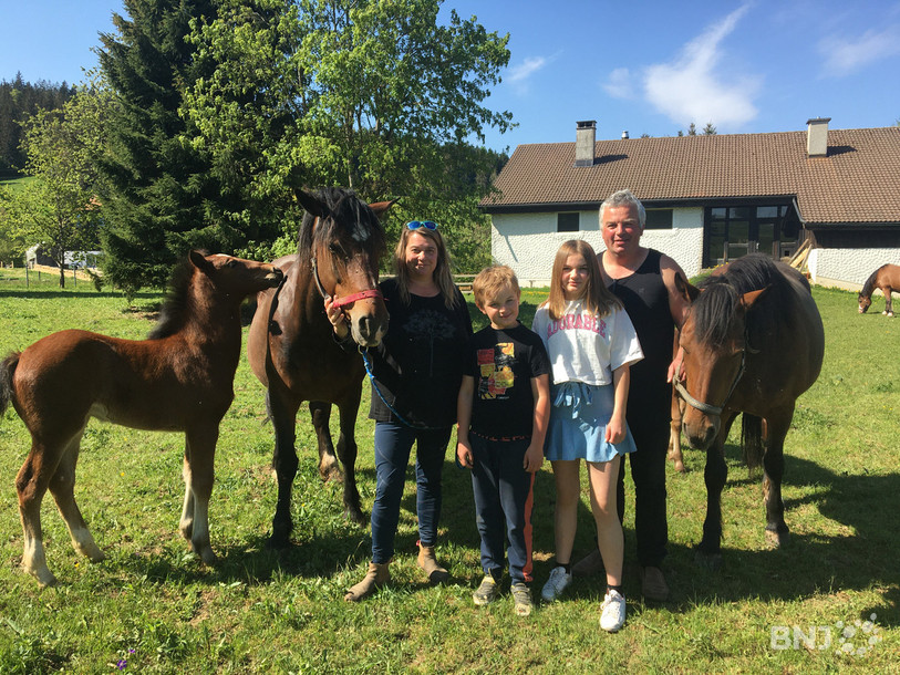 La famille Frésard ne pourra pas présenter ses chevaux cette année au Marché-Concours.