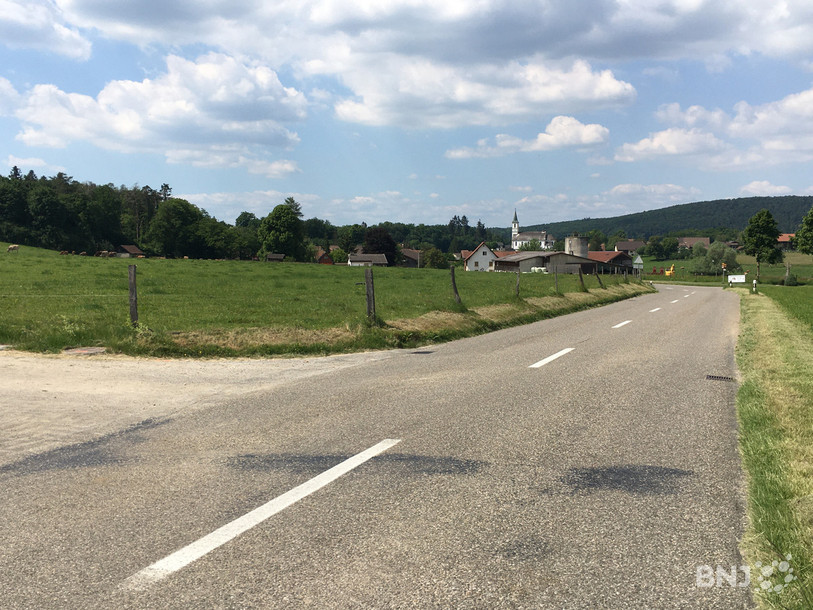 Des passages vont être creusés sous la route avant l'entrée de Damphreux pour permettre aux batraciens d'effectuer leur migration en toute sécurité.