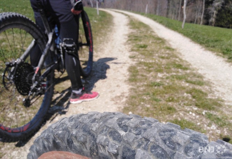 Itinéraires VTT, VTC ou pour vélos de route sont recensés par PRO VELO Jura (photo : illustration).