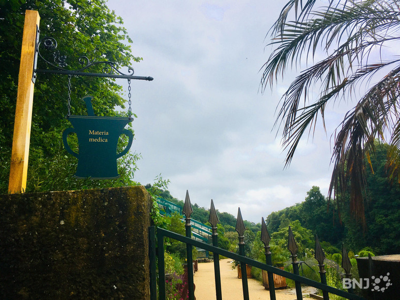 180 espèces de plantes médicinales sont à découvrir au Jardin botanique de Neuchâtel.