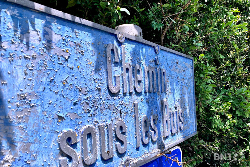 Le drame s'est produit au Chemin sous les Buis, dans les hauteurs de Hauterive.