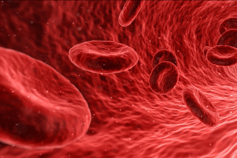 Le sang est récolté par le service régional neuchâtelois et jurassien de transfusion sanguine. (Photo: LDD)