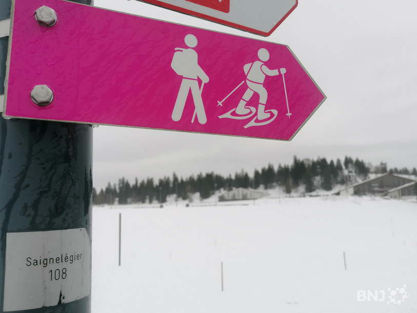 Les parcours de raquette, en rose foncé sur les cartes distribuées par Jura Tourisme, peuvent côtoyer ceux pour la randonnée hivernale, en rose clair.