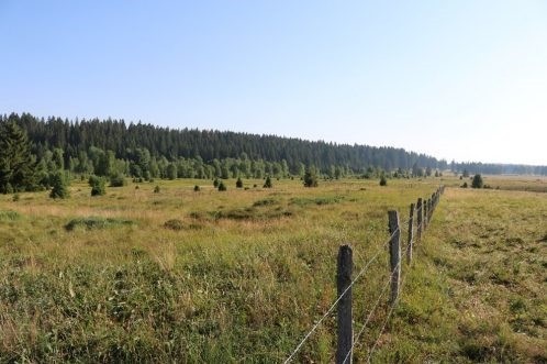 Tourbière de la Chaux (Photo : Olivier Bessire, Promotion de la nature)