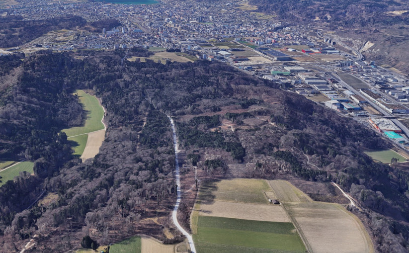 L'accident s'est produit sur la Bielstrasse, route se situant sur le Büttenberg. (Photo: Google Maps)