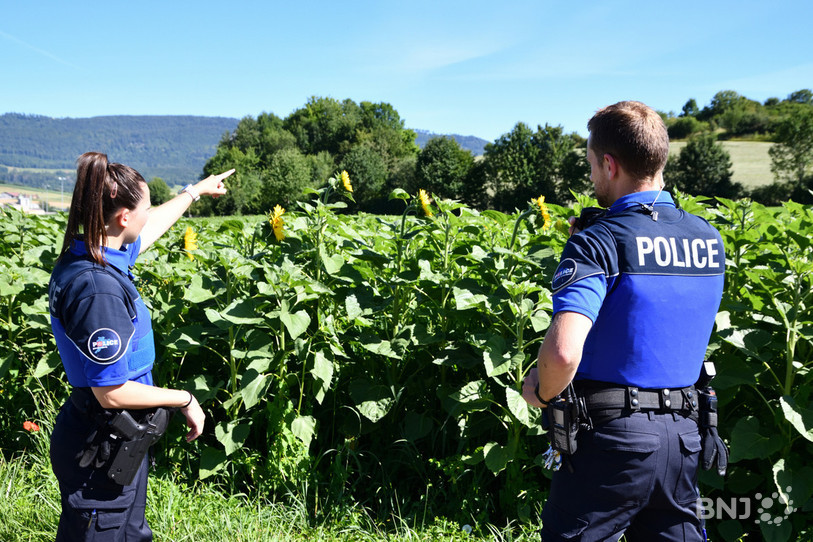 La police jurassienne est intervenue mercredi après-midi à Vendlincourt. (Photo : illustration/Georges Henz).