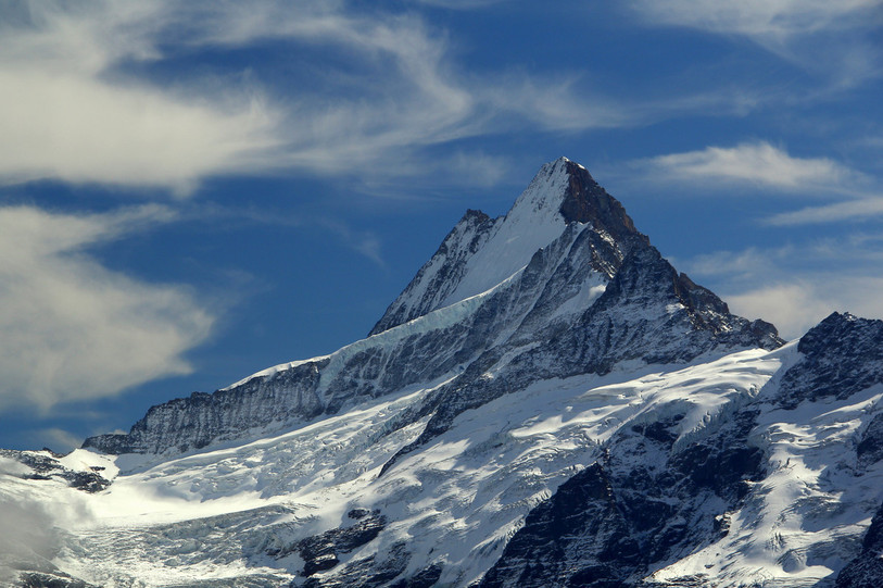 Une alpiniste effectuait l'ascension du Schreckhorn lorsqu'elle a fait une chute mortelle. (Photo: Kevin Hadley - Wikimedia commons)