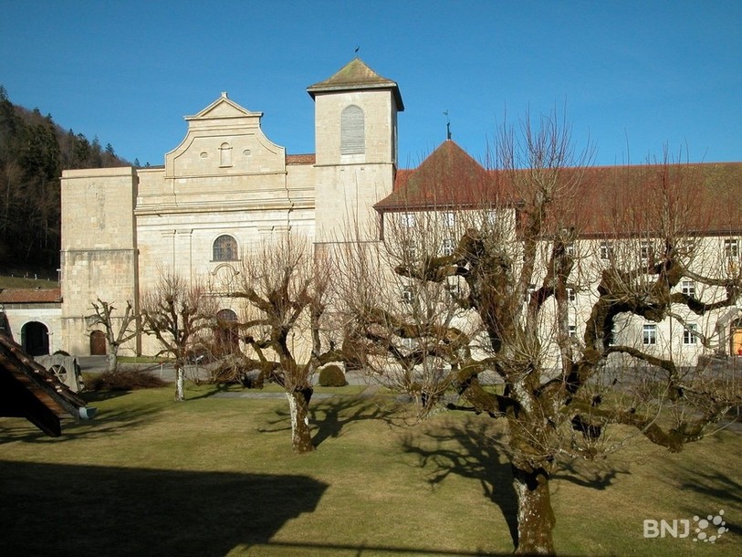 Dès dimanche et jusqu'au 16 octobre, l'Abbatiale sera investie par les nombreuses représentations musicales. (Photo : archives)