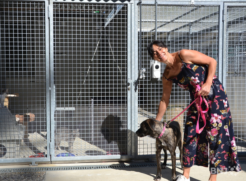 La vice-présidente de l'AJPA et responsable des adoptions, Claudia Zuber, en compagnie de sa nouvelle chienne Gloria.