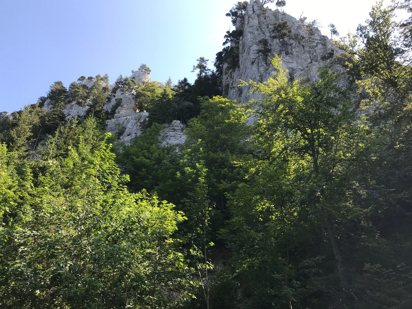 Le Col de l'Aiguillon, dans le Jura vaudois. (Photo : Police cantonale vaudoise)