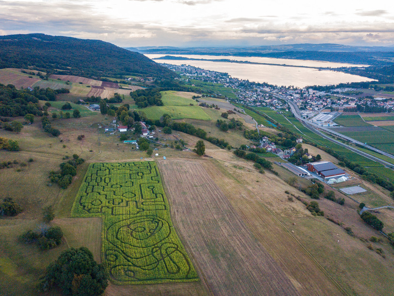 Entre les différents buffets du 1er août, les convives pourront s’essayer au labyrinthe dans le maïs, ou encore visiter le zoo du domaine de Bel-Air. (Photo: domaine de Bel Air)