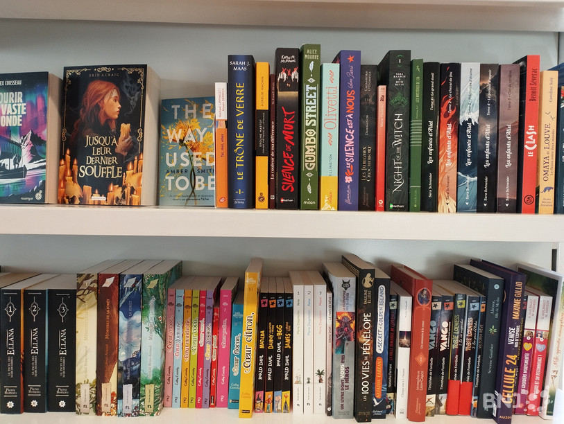Les élèves peuvent se rendre à Saignelégier dans la librairie partenaire de la démarche pour trouver les livres qui les intéressent. 