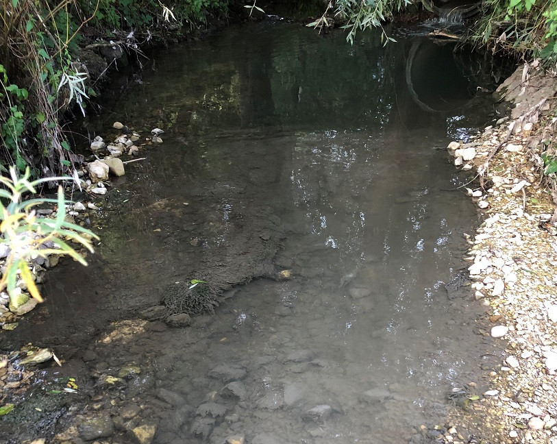 Un pêcheur a signalé une pollution du Tabeillon samedi dernier. (Photo : Office de l'environnement).