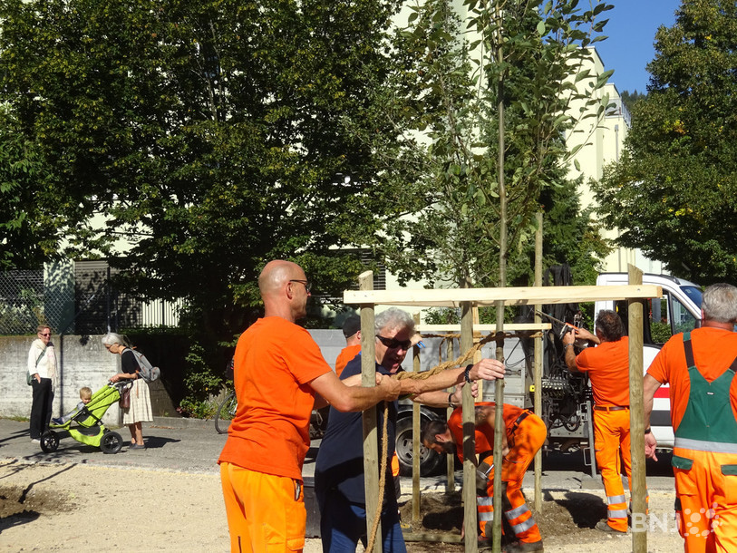 Les habitants de la rue de Büren ont pu participer à la plantation des arbres.