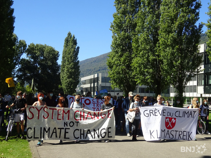 Une centaine de manifestants ont pris part à la grève du climat vendredi.