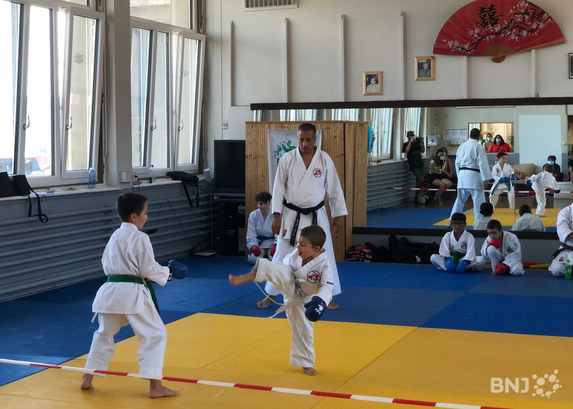 Petits et grands ont réalisé des démonstrations d'art martiaux comme ici avec le karaté.