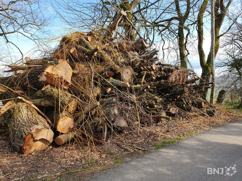 L’intérêt porté aux déchets de coupe de bois ravit les porte-monnaies des entreprises de bois énergie et des gardes forestiers.