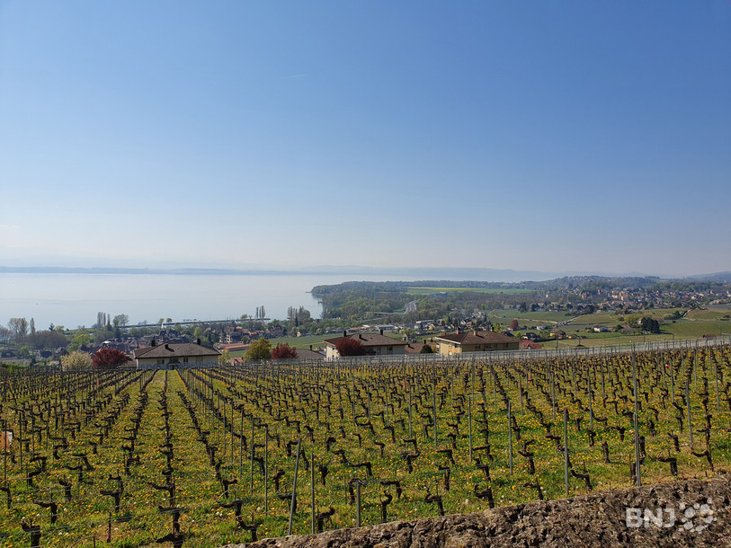 Le projet propose par exemple de se balader à Auvernier et d’appréhender l’importance du vignoble neuchâtelois.