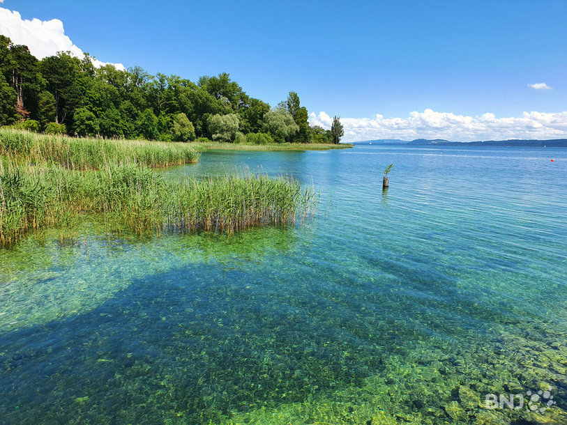 La baignade est interdite à Cortaillod jusqu'à nouvel avis.