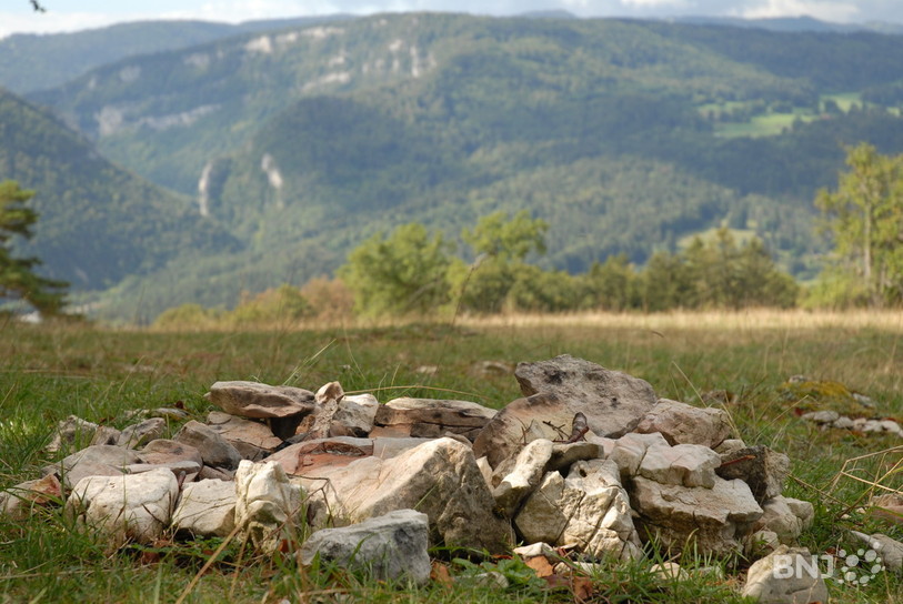  L'interdiction de faire du feu en forêt est levée avec effet immédiat, à la suite de conditions météorologiques favorables. (Photo : archive).