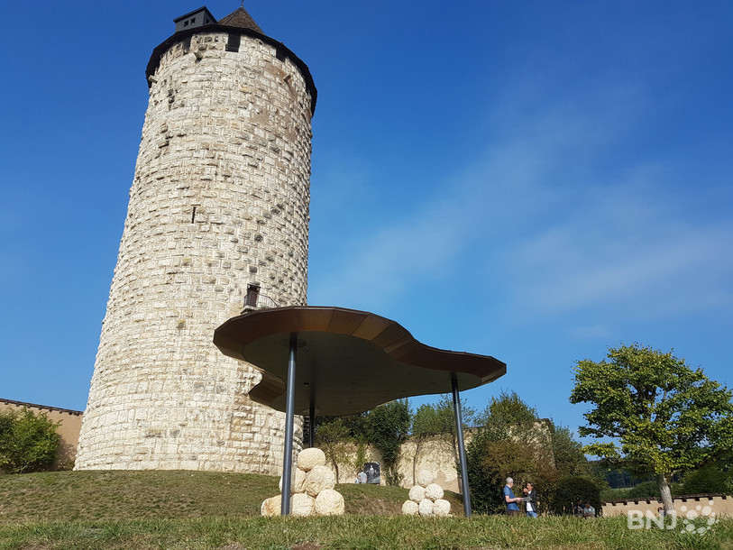 Les boulets de canon trônent fièrement au pied de la Tour Réfous.