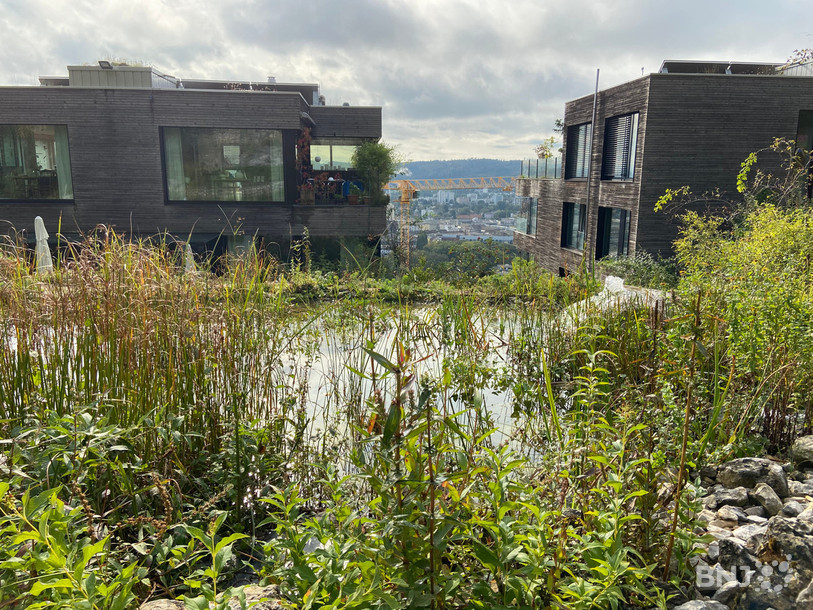 Ce jardin naturel a vu le jour car les huit propriétaires de ces deux immeubles ont fusionné leurs parcelles.