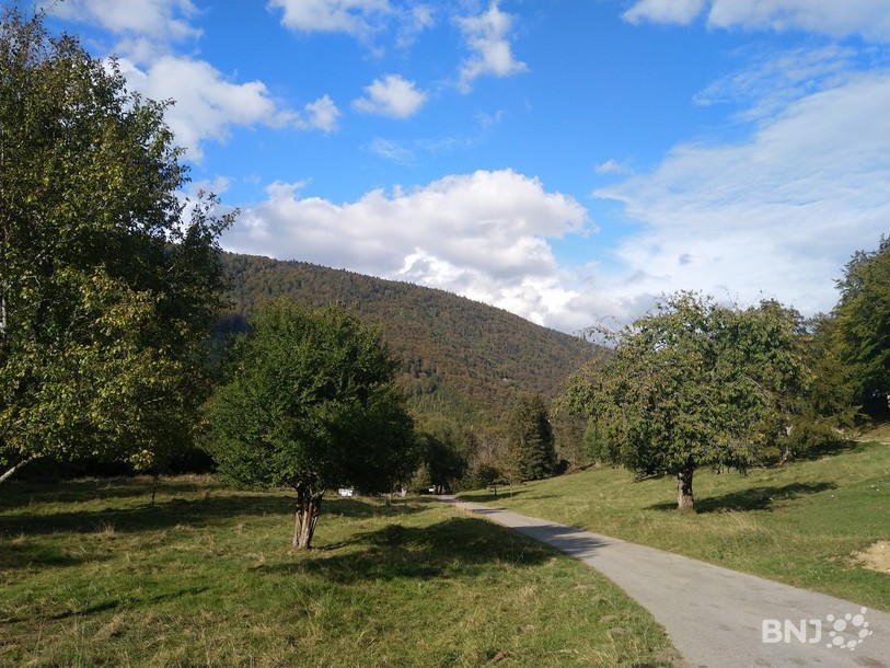 Les pluies de cet été ont eu au moins un impact positif, elles ont amélioré la qualité de l'air. (Photo d'illustration)