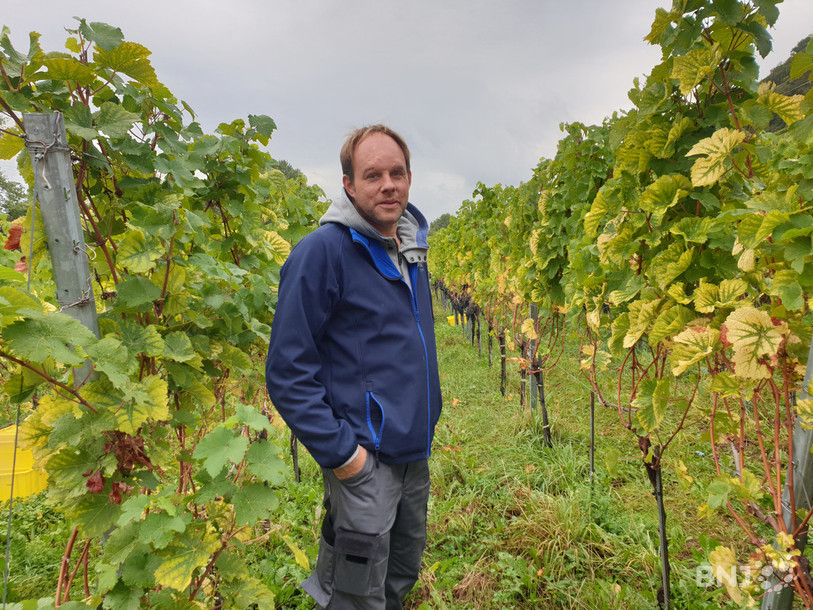 Même s'il est plus agréable de vendanger sous le soleil, Adrian Klötzli préfère lorsqu'il fait froid. Les faibles températures sont plus favorables à la conservation sur fruit.