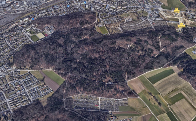 La forêt du Längholz est très prisée des Biennois. (Image : ©2020 Google - Données cartographiques)