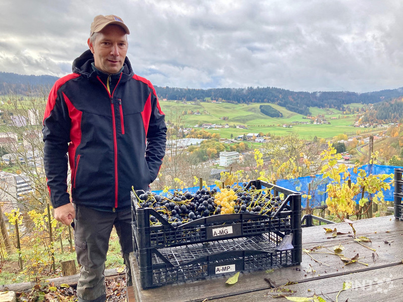 Le nouveau président de l'association des Vignerons montagnons, Hubert Jenni, garde tout de même le sourire.