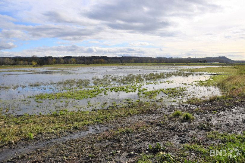 Le site se trouve à proximité de l'aérodrome d'Yverdon-les-Bains.