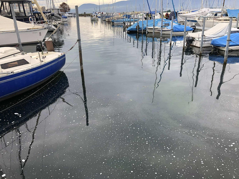 Des hydrocarbures s'étaient déjà répandus sur une surface de 500 m2 au port de Portalban en 2020. (Photo archives : Police cantonale Fribourg)