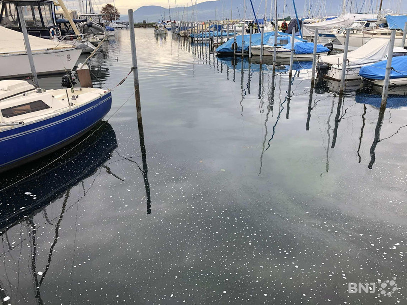 La pollution aux hydrocarbures s'est étendue sur près de 500m2 au port de Portalban. (Photo : Police cantonale de Fribourg).