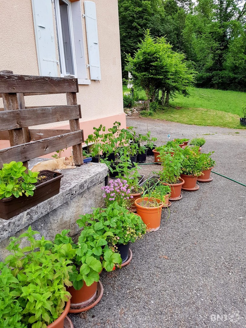 des pots, des pots et encore des pots !