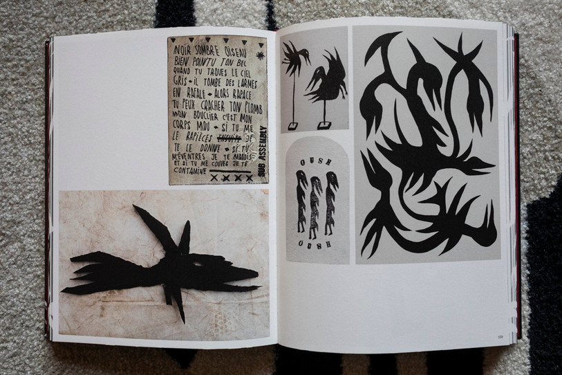Extrait du livre d'Augustin Rebetez, entre peinture, sculpture et poésie (photo : Augustin Rebetez).