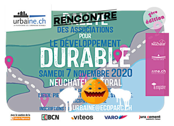 En raison des restrictions sanitaires le 1er rallye des associations pour le développement durable s'est déroulé en mode virtuel.